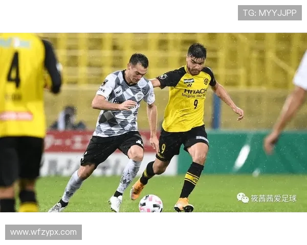 最新赛季全国足球联赛积分榜全景解析揭示球队实力与排名走势