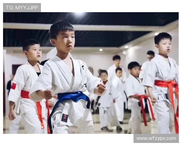 以空手道体能训练强化速度力量耐力与灵活性全面提升实践方案