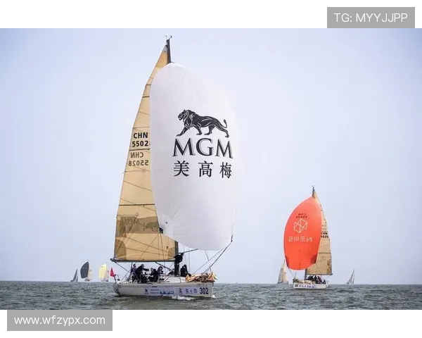 围绕帆船运动员名单探讨国际赛事人才构成趋势与发展前景分析研判