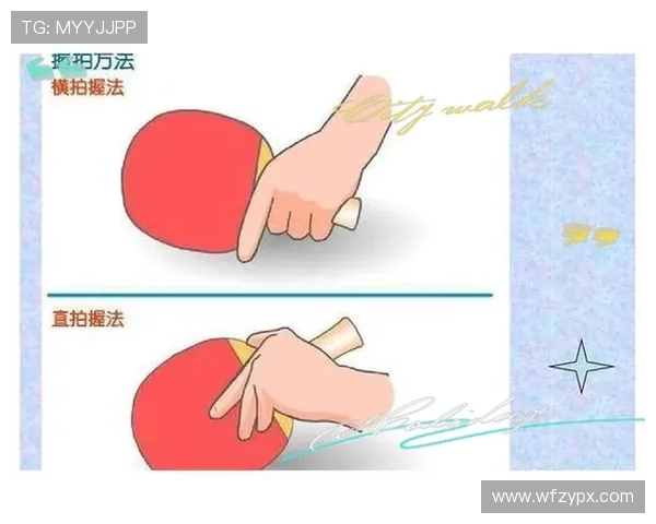 从零起步到稳步提升的乒乓球基础教学系统指南与实战技巧全解析