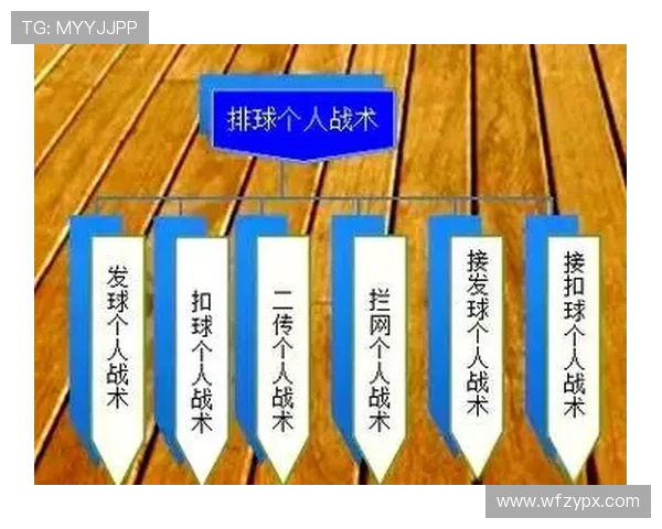 基于全面数据的现代排球攻防战术深度分析与应用策略创新实践